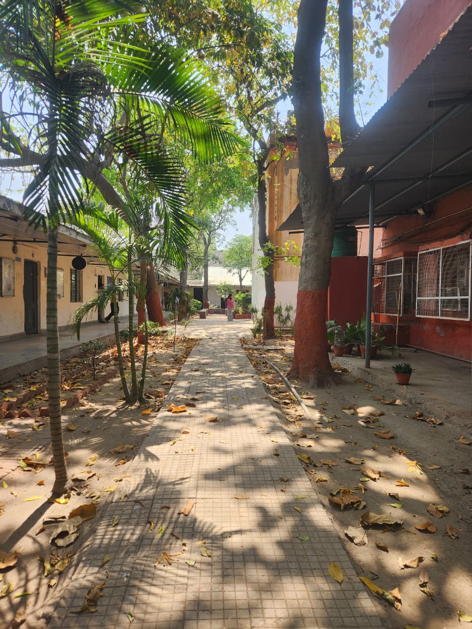 Abou the College Pics